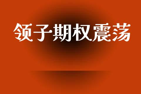 领子期权震荡_https://m.jnkyh.com_期货开户条件_第1张