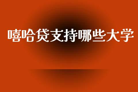 嘻哈贷支持哪些大学_https://m.jnkyh.com_股指期货_第1张