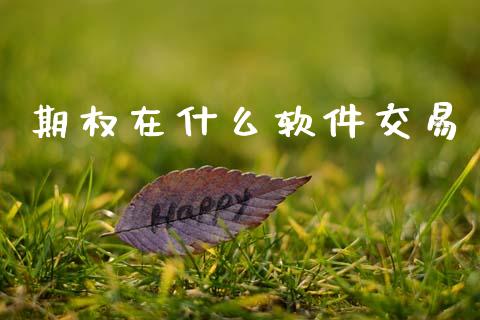 期权在什么软件交易_https://m.jnkyh.com_国际原油_第1张
