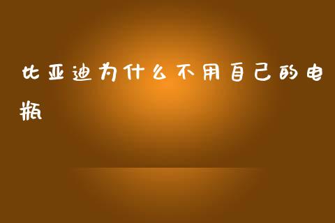 比亚迪为什么不用自己的电瓶_https://m.jnkyh.com_股指期货_第1张