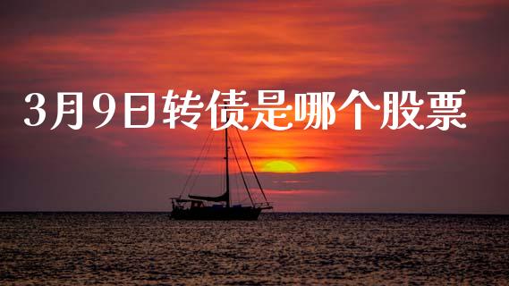 3月9日转债是哪个股票_https://m.jnkyh.com_国际原油_第1张