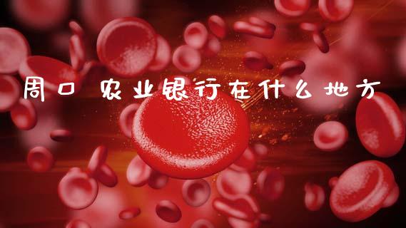 周口 农业银行在什么地方_https://m.jnkyh.com_股票交易_第1张