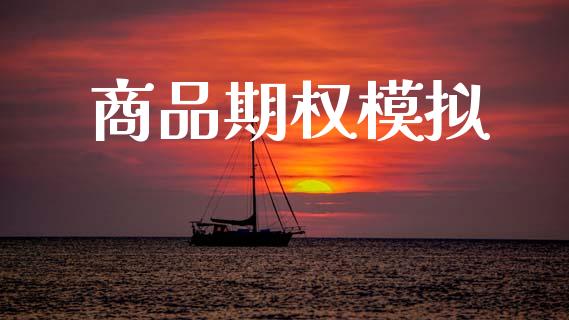 商品期权模拟_https://m.jnkyh.com_国际原油_第1张