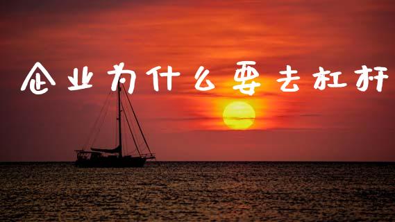 企业为什么要去杠杆_https://m.jnkyh.com_股指期货_第1张