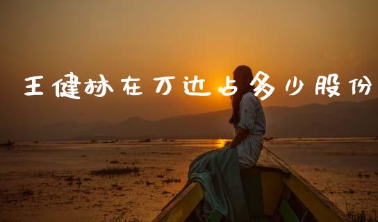 王健林在万达占多少股份_https://m.jnkyh.com_期货开户条件_第1张