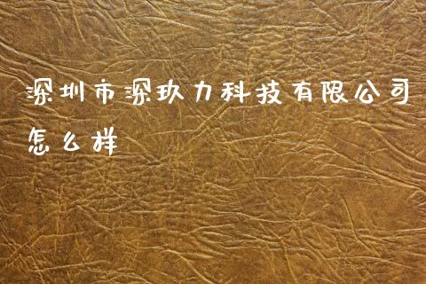 深圳市深玖力科技有限公司怎么样_https://m.jnkyh.com_股指期货_第1张
