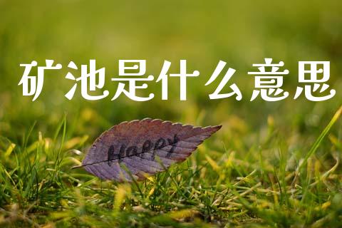 矿池是什么意思_https://m.jnkyh.com_股票交易_第1张