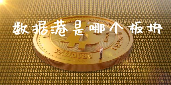 数据港是哪个板块_https://m.jnkyh.com_股指期货_第1张
