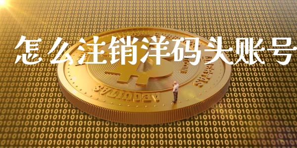 怎么注销洋码头账号_https://m.jnkyh.com_股指期货_第1张