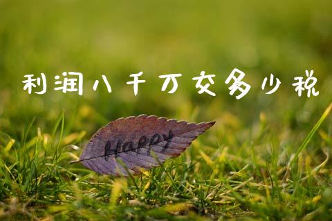 利润八千万交多少税_https://m.jnkyh.com_期货开户条件_第1张