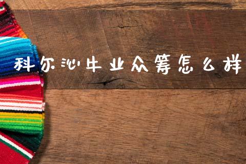 科尔沁牛业众筹怎么样_https://m.jnkyh.com_股票交易_第1张