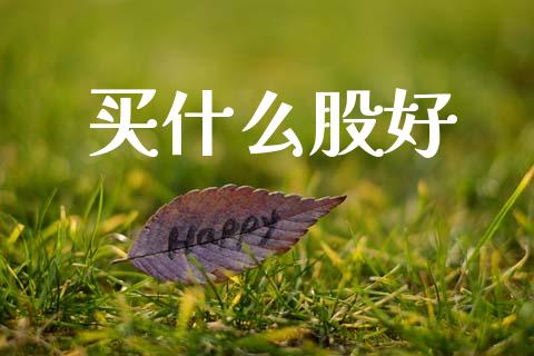 买什么股好_https://m.jnkyh.com_国际原油_第1张