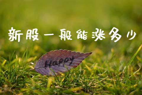 新股一般能涨多少_https://m.jnkyh.com_国际原油_第1张