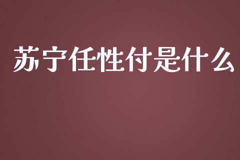 苏宁任性付是什么_https://m.jnkyh.com_股票交易_第1张
