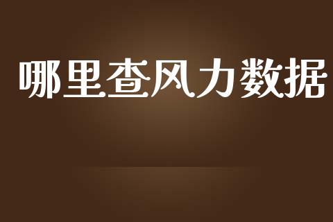 哪里查风力数据_https://m.jnkyh.com_股指期货_第1张