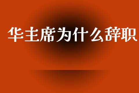 华主席为什么辞职_https://m.jnkyh.com_期货开户条件_第1张