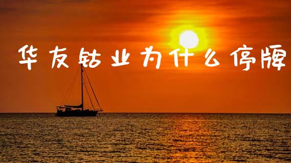 华友钴业为什么停牌_https://m.jnkyh.com_期货开户条件_第1张