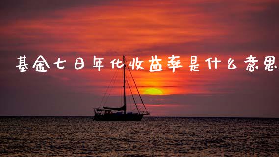 基金七日年化收益率是什么意思_https://m.jnkyh.com_股指期货_第1张