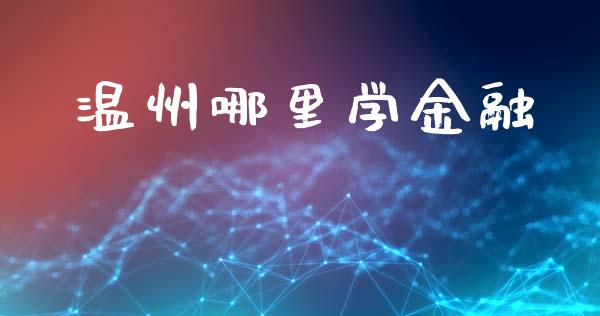 温州哪里学金融_https://m.jnkyh.com_股指期货_第1张