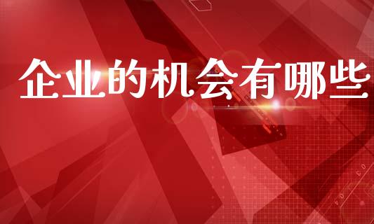 企业的机会有哪些_https://m.jnkyh.com_股指期货_第1张