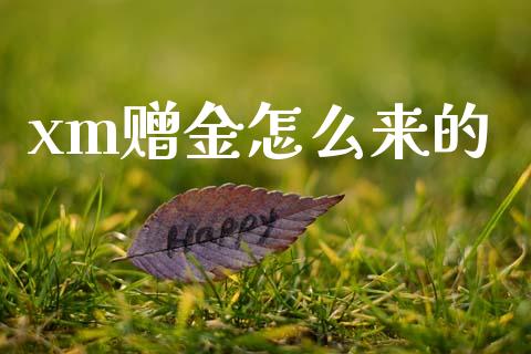 xm赠金怎么来的_https://m.jnkyh.com_股指期货_第1张