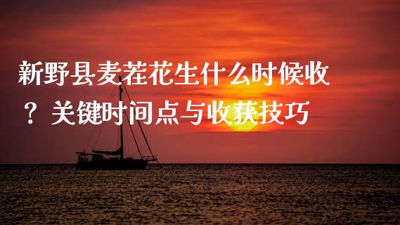 新野县麦茬花生什么时候收？ 关键时间点与收获技巧_https://m.jnkyh.com_股指期货_第1张