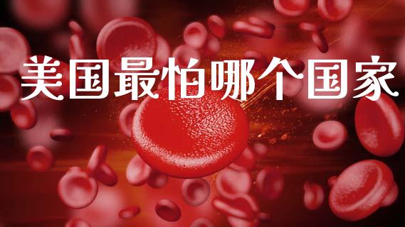 美国最怕哪个国家_https://m.jnkyh.com_股票交易_第1张