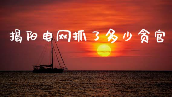 揭阳电网抓了多少贪官_https://m.jnkyh.com_期货开户条件_第1张