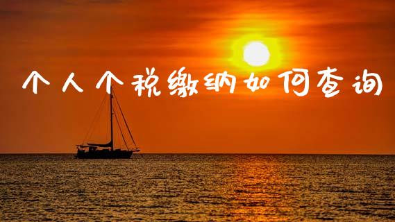 个人个税缴纳如何查询_https://m.jnkyh.com_股指期货_第1张