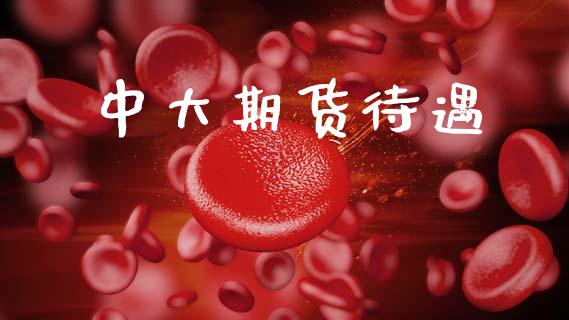 中大期货待遇_https://m.jnkyh.com_股票交易_第1张