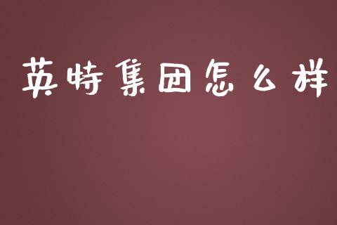 英特集团怎么样_https://m.jnkyh.com_期货开户条件_第1张
