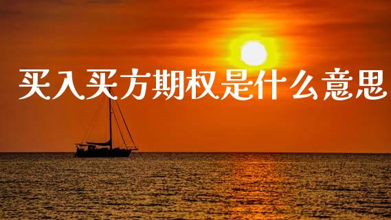 买入买方期权是什么意思_https://m.jnkyh.com_期货开户条件_第1张