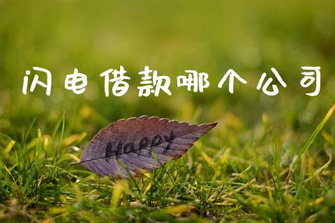 闪电借款哪个公司_https://m.jnkyh.com_国际原油_第1张
