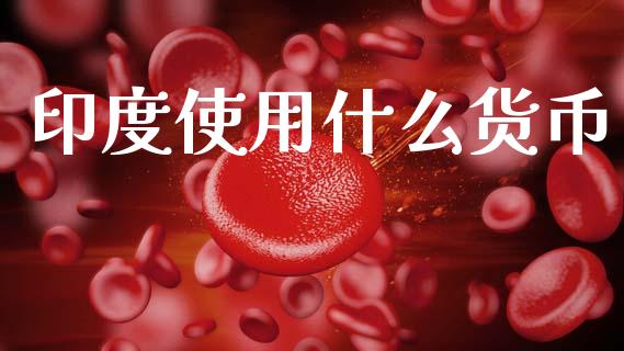 印度使用什么货币_https://m.jnkyh.com_股票交易_第1张