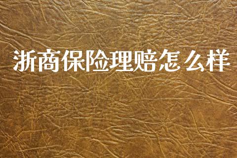 浙商保险理赔怎么样_https://m.jnkyh.com_期货开户条件_第1张