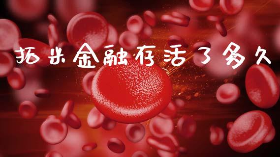 拓米金融存活了多久_https://m.jnkyh.com_股指期货_第1张