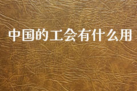 中国的工会有什么用_国际原油_第1张_股指期货_期货开户条件_国际原油_股票交易 中国的工会有什么用_https://m.jnkyh.com_国际原油_第1张