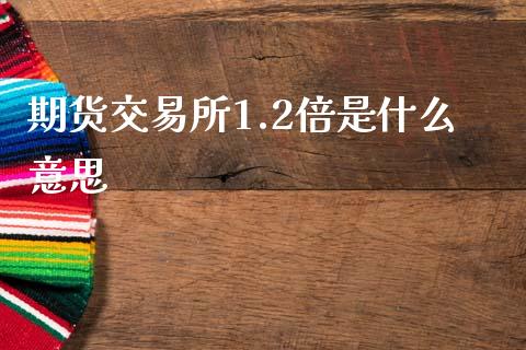 期货交易所1.2倍是什么意思_https://m.jnkyh.com_期货开户条件_第1张