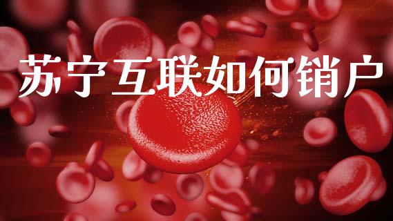苏宁互联如何销户_https://m.jnkyh.com_股票交易_第1张