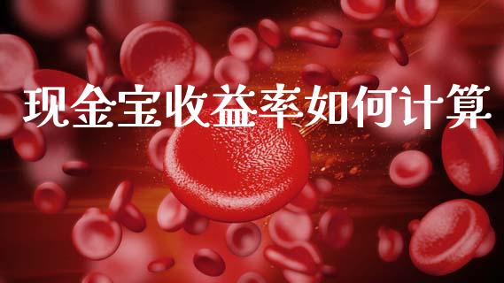 现金宝收益率如何计算_https://m.jnkyh.com_股票交易_第1张