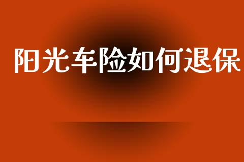 阳光车险如何退保_https://m.jnkyh.com_股票交易_第1张