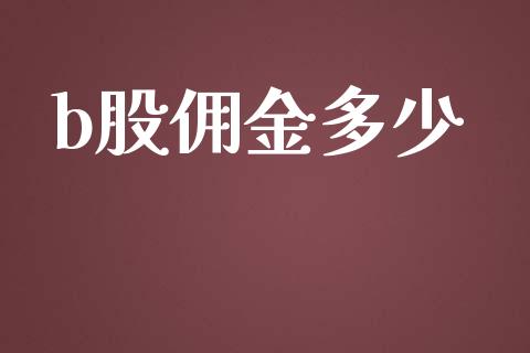 b股佣金多少_https://m.jnkyh.com_股指期货_第1张
