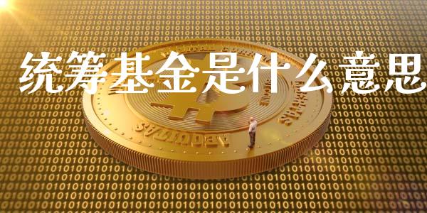 统筹基金是什么意思_https://m.jnkyh.com_期货开户条件_第1张