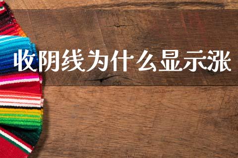 收阴线为什么显示涨_https://m.jnkyh.com_股指期货_第1张