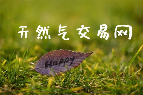 天然气交易网_https://m.jnkyh.com_期货开户条件_第1张