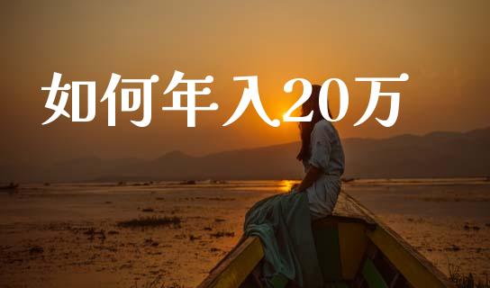 如何年入20万_https://m.jnkyh.com_期货开户条件_第1张