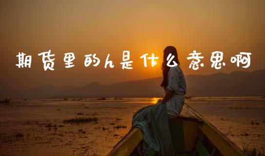 期货里的h是什么意思啊_https://m.jnkyh.com_股指期货_第1张