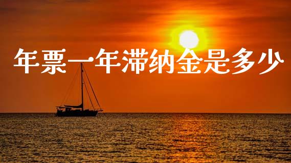 年票一年滞纳金是多少_https://m.jnkyh.com_股票交易_第1张