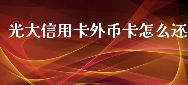 光大信用卡外币卡怎么还_https://m.jnkyh.com_股票交易_第1张