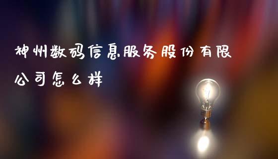 神州数码信息服务股份有限公司怎么样_https://m.jnkyh.com_期货开户条件_第1张
